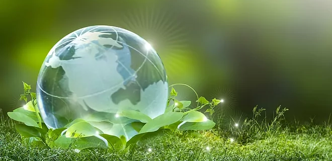 Green Hosting: el hosting respetuoso con el medio ambiente